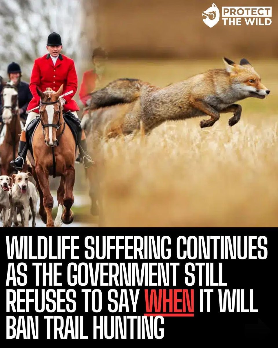 The Govt said there'd be a public consultation early 2026.. where is it?!