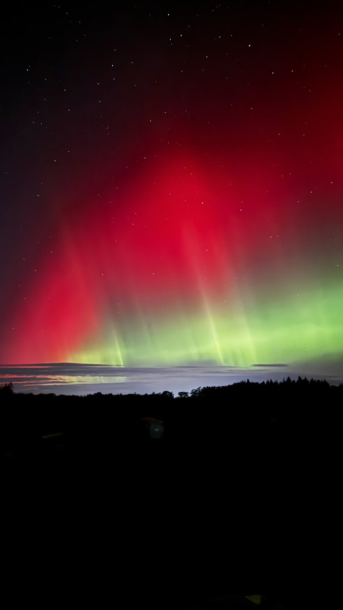 seonaidh mackenzie tweet media