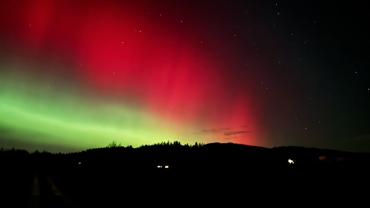 seonaidh mackenzie tweet media