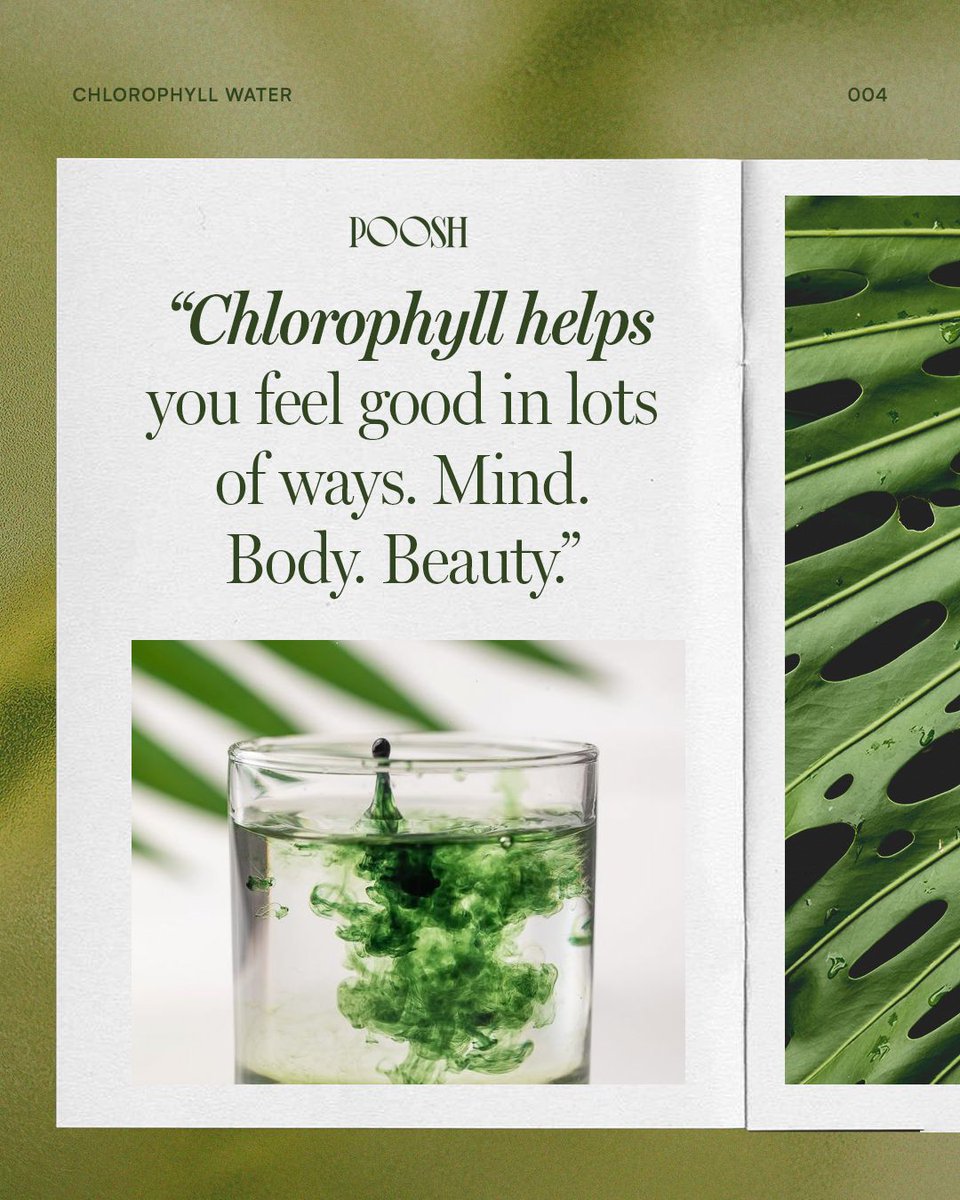 When everyone’s talking about the same ingredient, you start paying attention.

Don’t just read the headlines, experience it for yourself at ChlorophyllWater.com 🌱