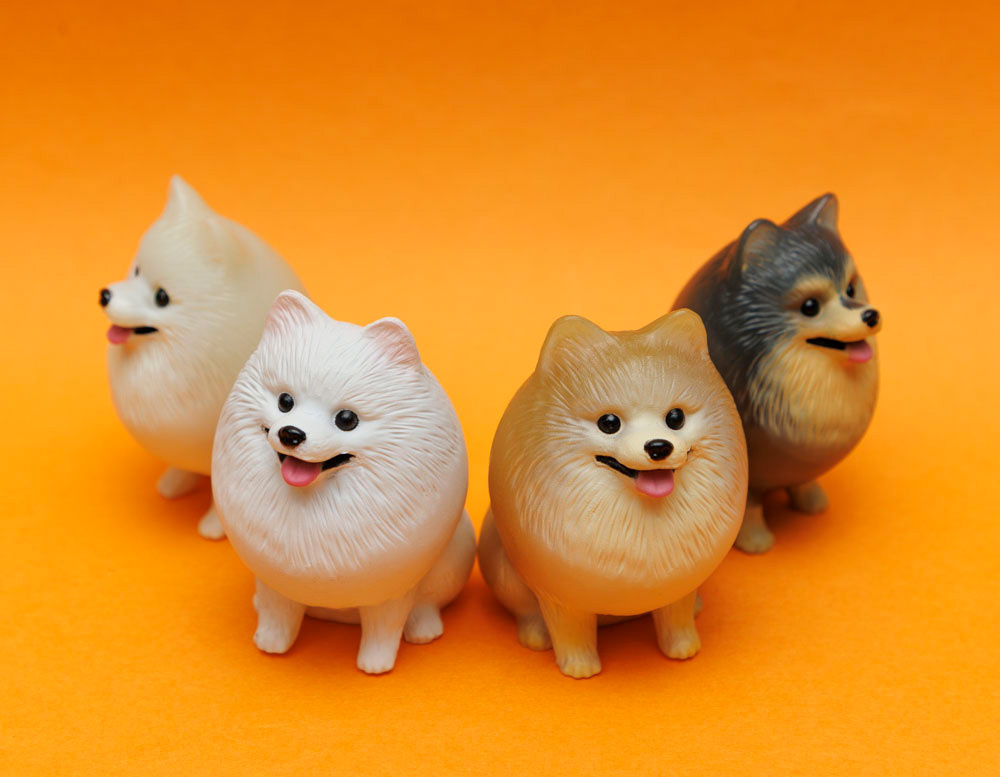 📢 【#光るポメラニアン】のカプセルトイが 満を持して3月に登場