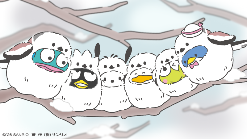 蓮の上けろっぴ (@kero2keroppi) / Posts / X