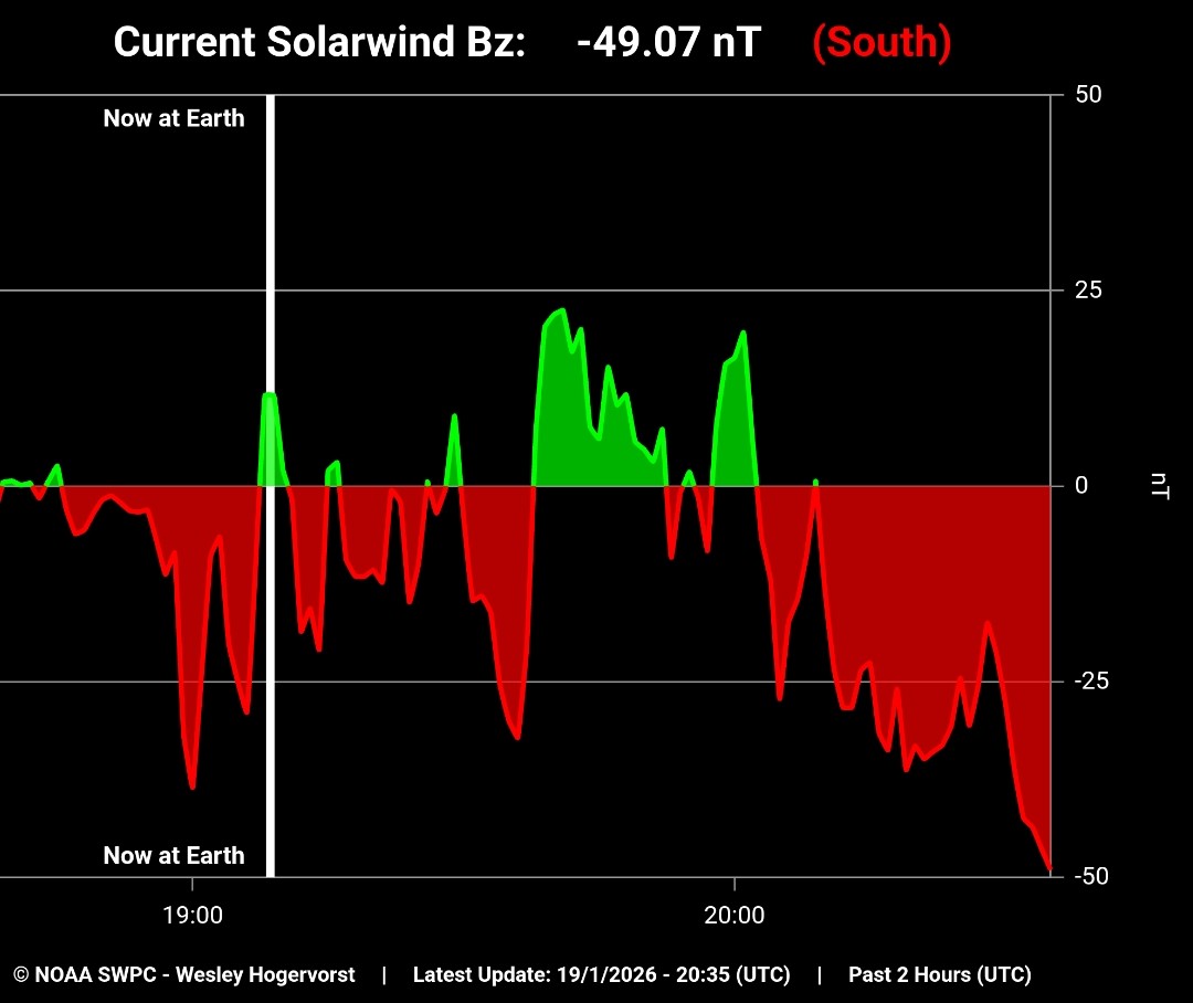 Wouter van Bernebeek tweet media