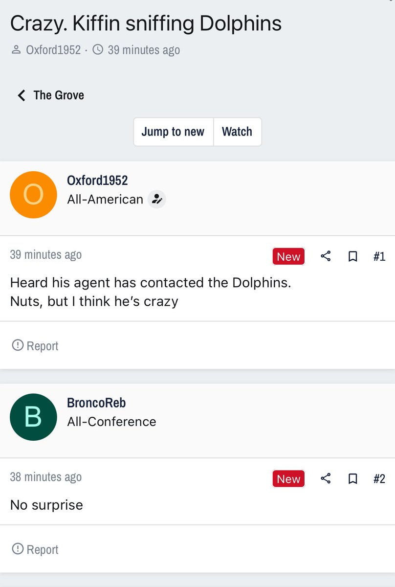 Stefan 🐯 tweet media