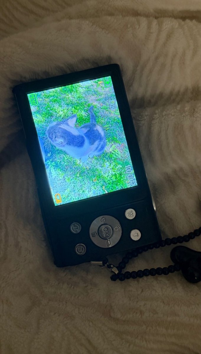 🧚🏻♀️ tweet media