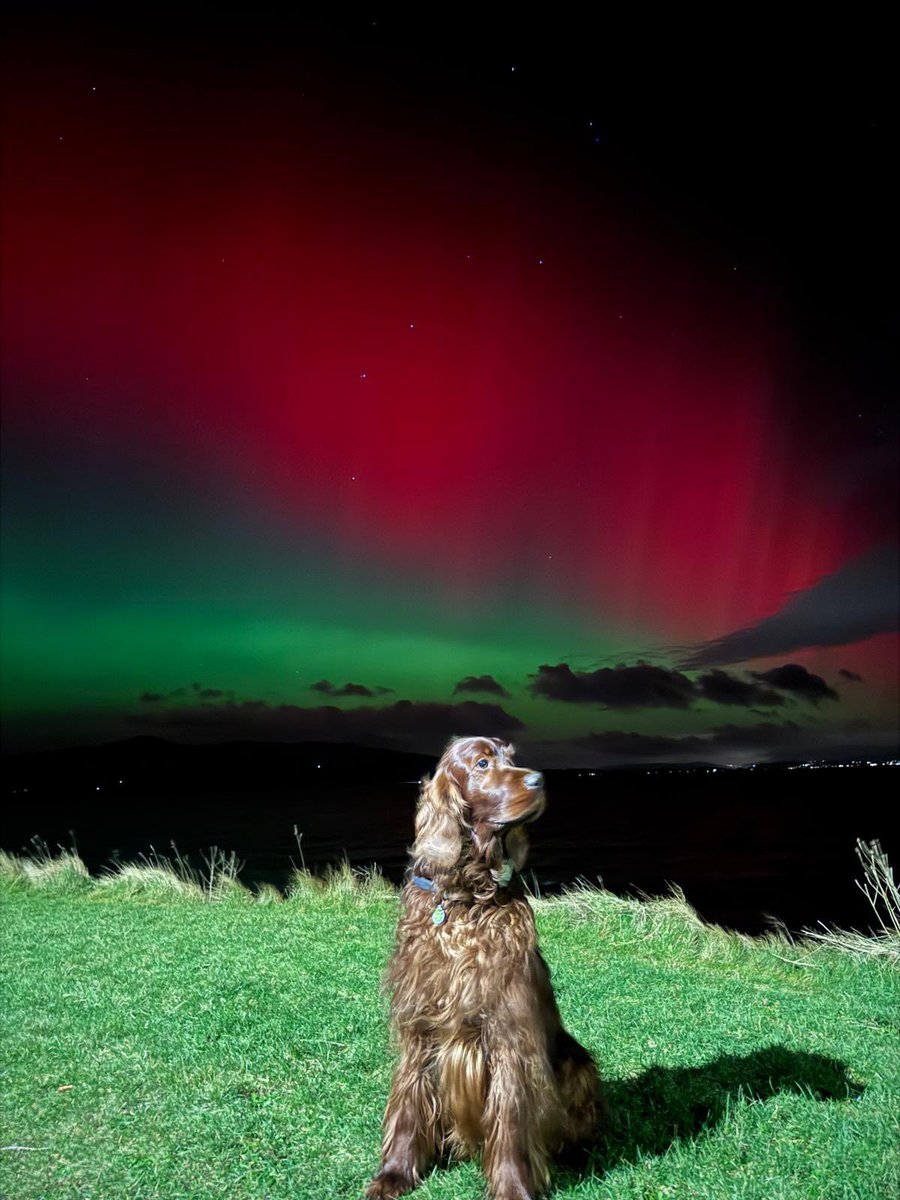 IrishCesar's tweet image. Northern lights above Rothesay tonight
