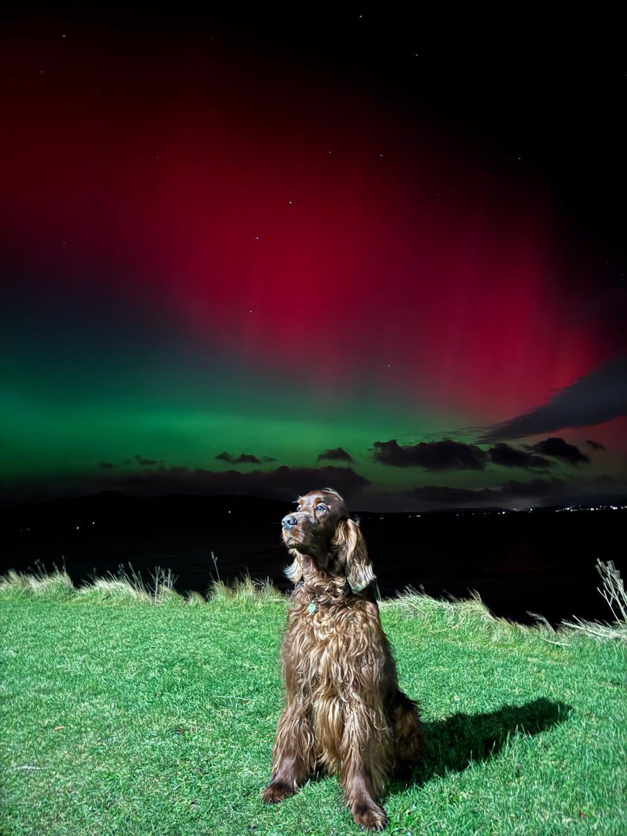 IrishCesar's tweet image. Northern lights above Rothesay tonight