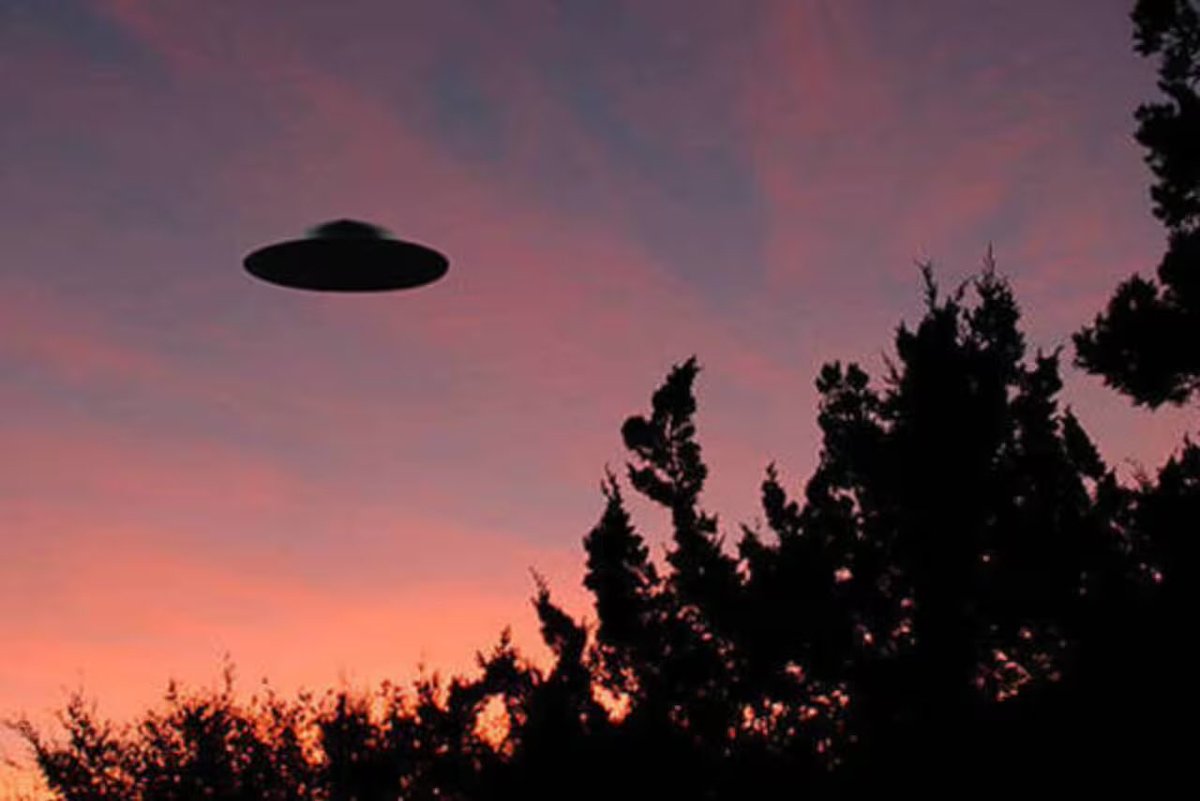 fran cor (@franco_cornier) on Twitter photo 