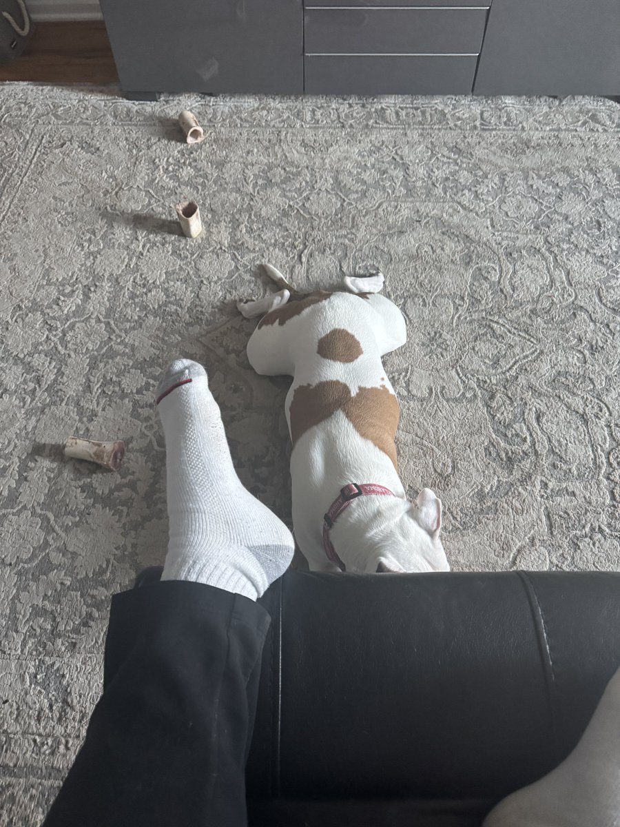 WeatherIzzi's tweet image. Update, I had to get up to pee, now I’ve broken her trust and she’s frog leg asleep on the floor in front of me! I apologized profusely before telling her I had to get up!