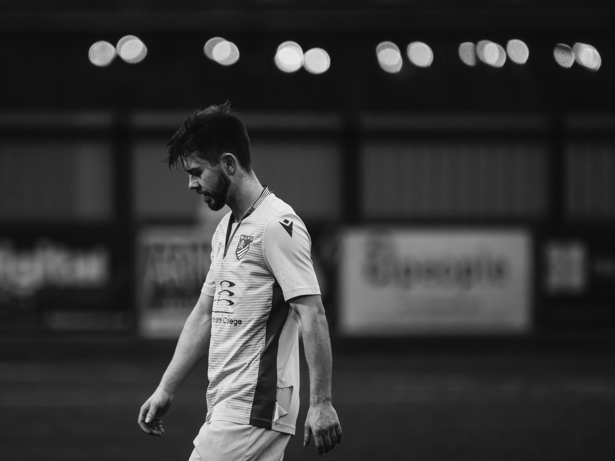 amymarshallcreative tweet media