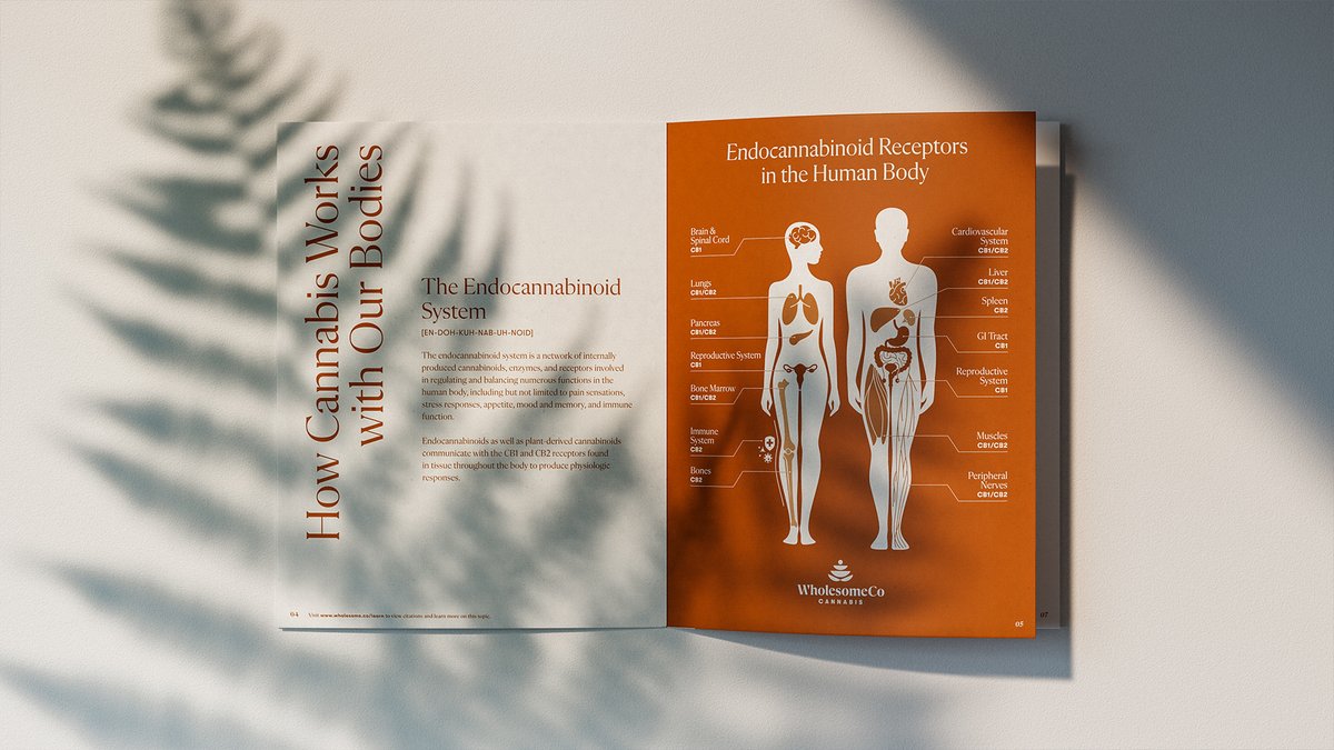 Carpenter Collective tweet media