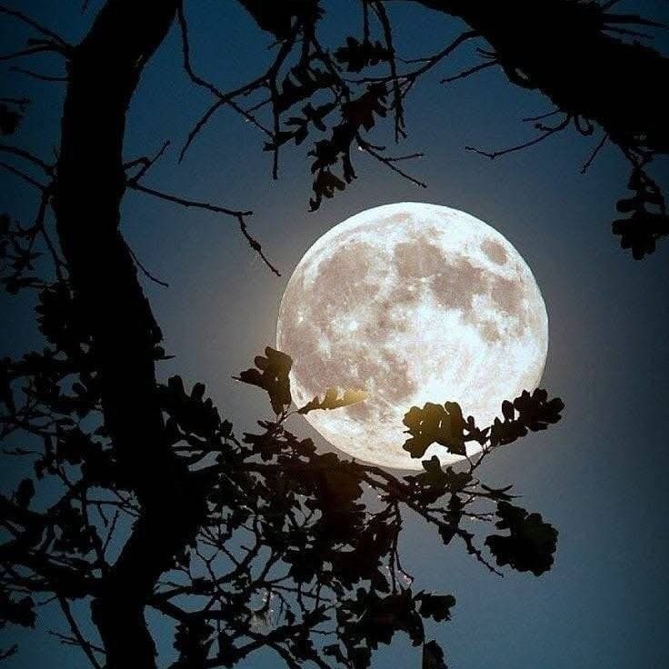 اكتمال القمر و الايام البيض 
حثَّنا النبي ﷺ على صيام الأيام البيض (13، 14، 15) من كل شهر قمري، وقد وردت في حديثين، ولكن السؤال هنا: لماذا حدد هذه الأيام تحديداً؟ أليس الصيام في جميع أوقاته مستحباً وفي رمضان واجباً؟ لماذا ميزت هذه الأيام عن باقي أيام الشهر؟