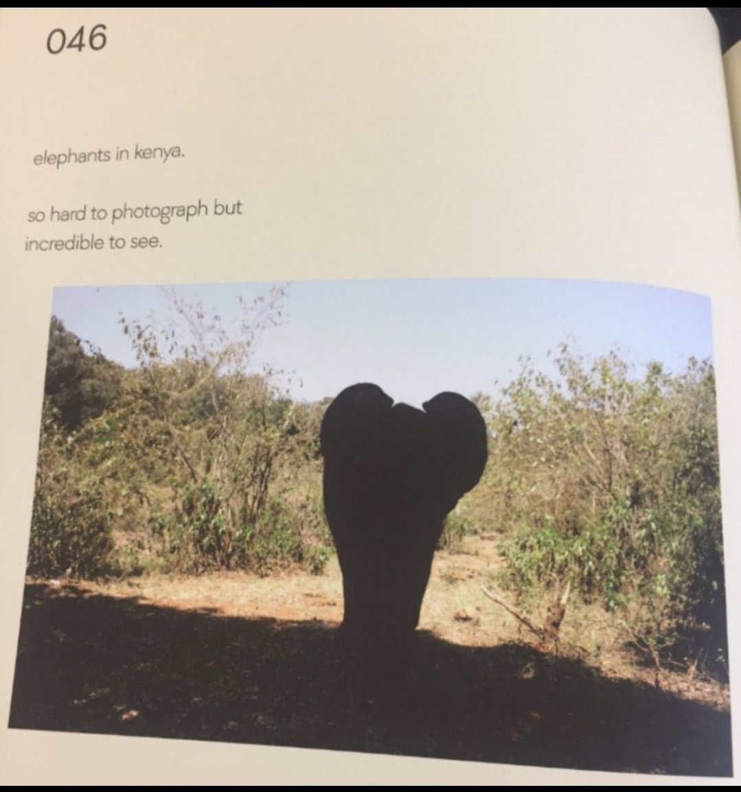 Any time I see comments about Brooklyn Beckham. I remember this photo from his "photography book" 😂😂😂😂😂😂. The parents trying so hard to promote this book. Especially his dad. He's just a nepo baby who now hates the parents, but not the rich life without work. 😂😂