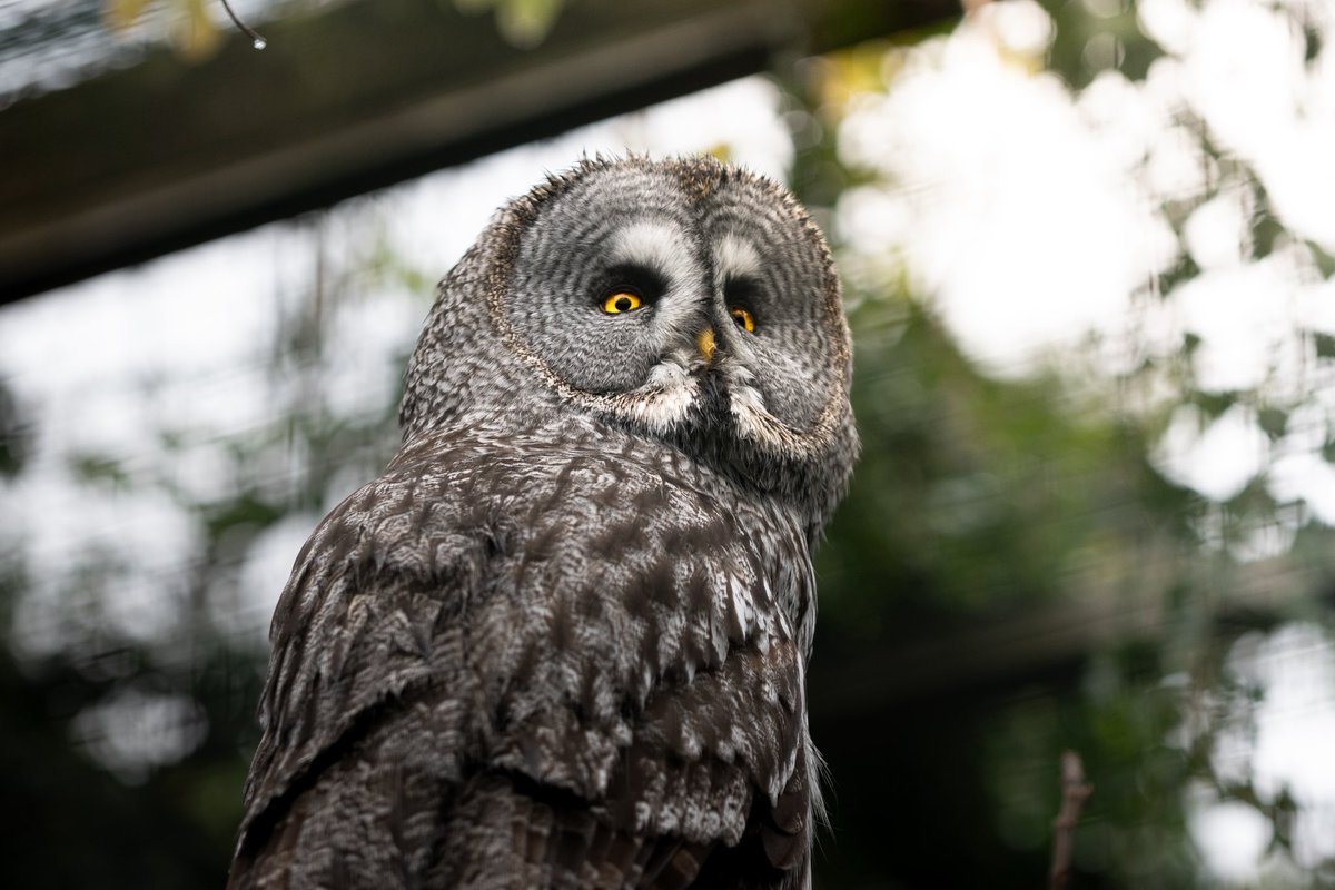 Kain🌿 tweet media