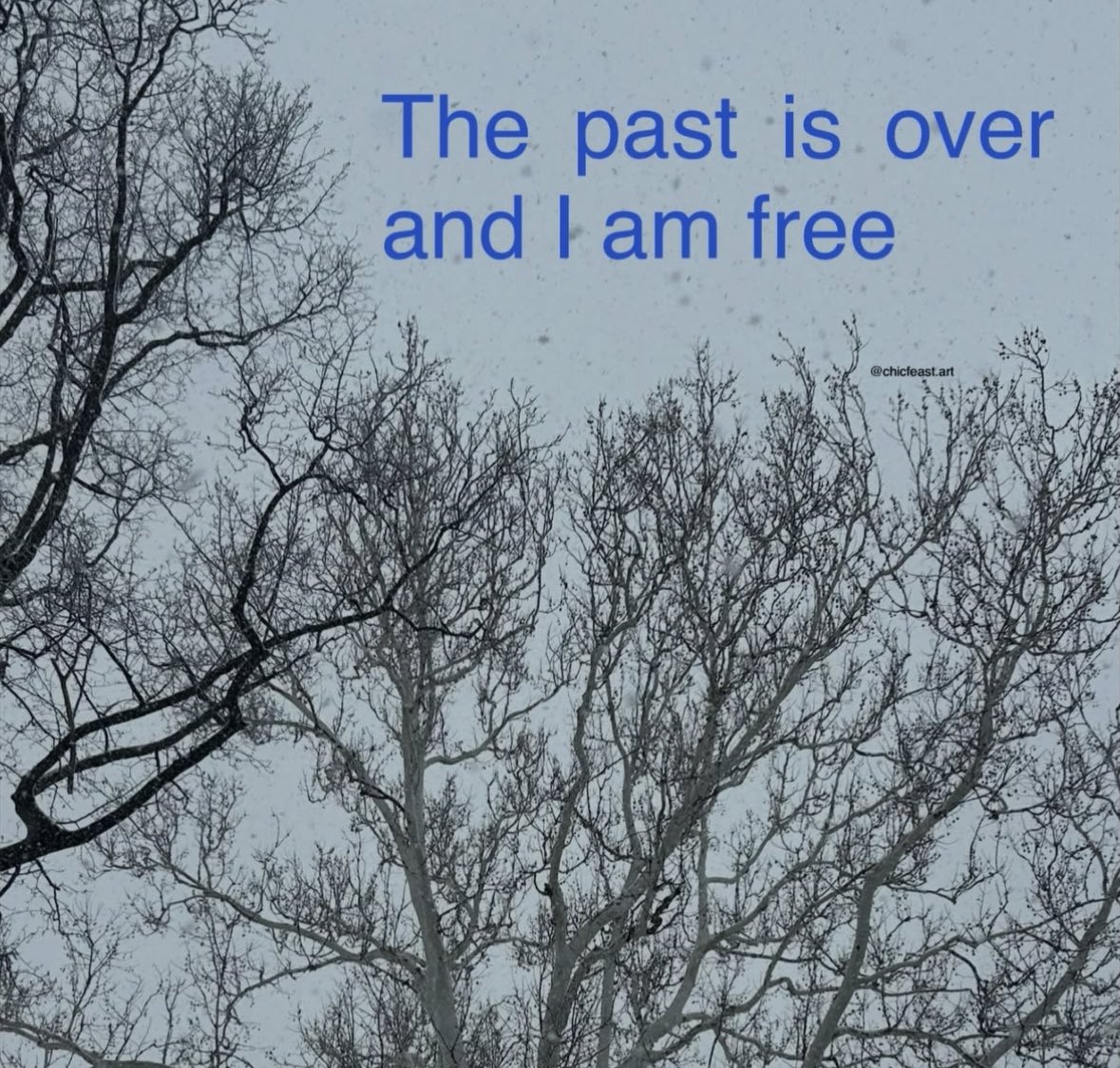 northstardoll's tweet image. 