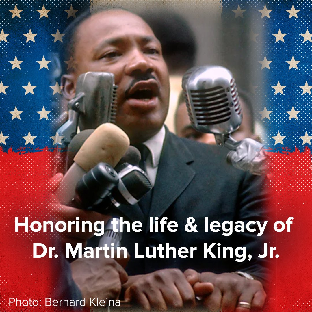 MusicUNTOLD tweet media