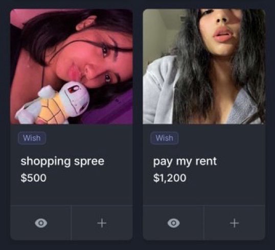 iOS_Mikey's tweet image. some random loser would actually pay for that I bet