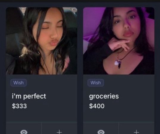 iOS_Mikey's tweet image. some random loser would actually pay for that I bet