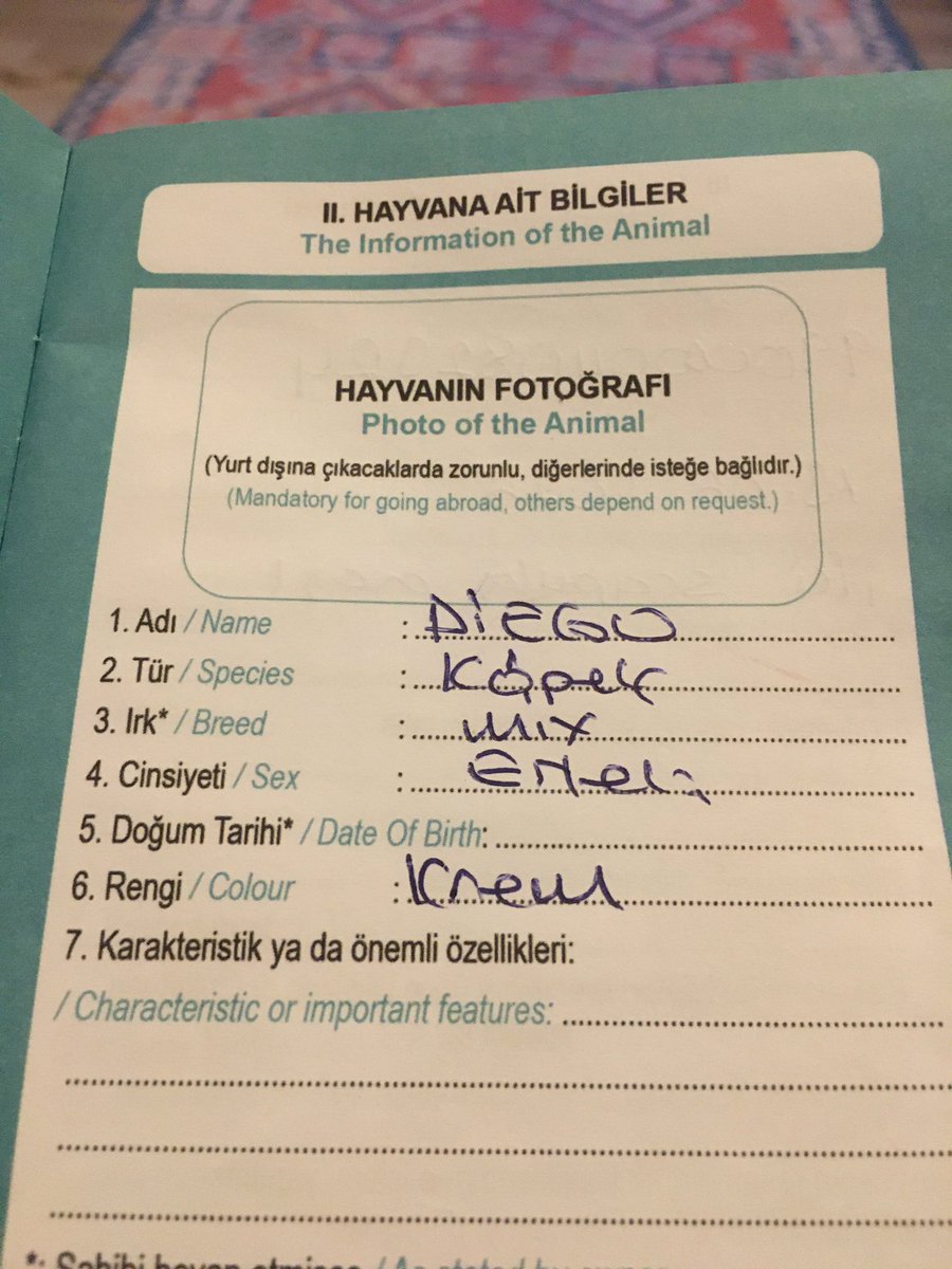 skranca's tweet photo. Diego 

Sana benim gibi bakamayan herkesten nefret ettim. Senin güzelliğini görememelerini anlayamadım hiç… https://t.co/MbHMeD9StQ
