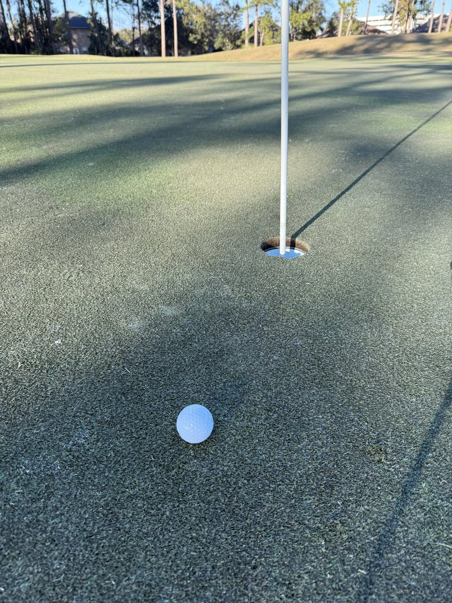 Fade_Machine's tweet image. Tap in Birdie, Daddy’s Home.