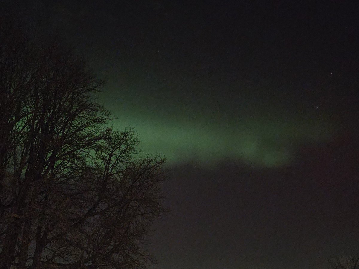 Nicole van Lieshout tweet media