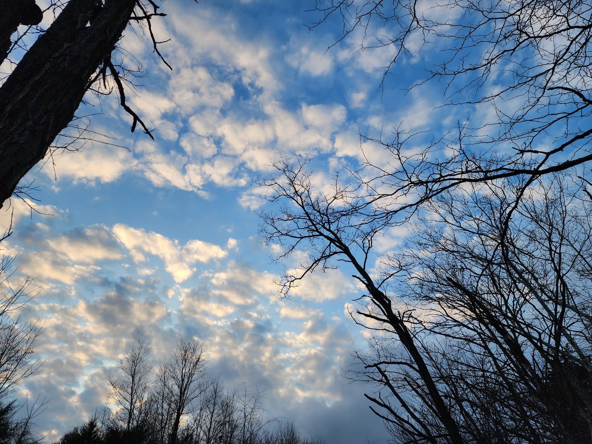 RubySunset5's tweet image. I love having the seclusion of the woods where I live, but I sure would love to order some pizza or Chinese food sometimes 😩