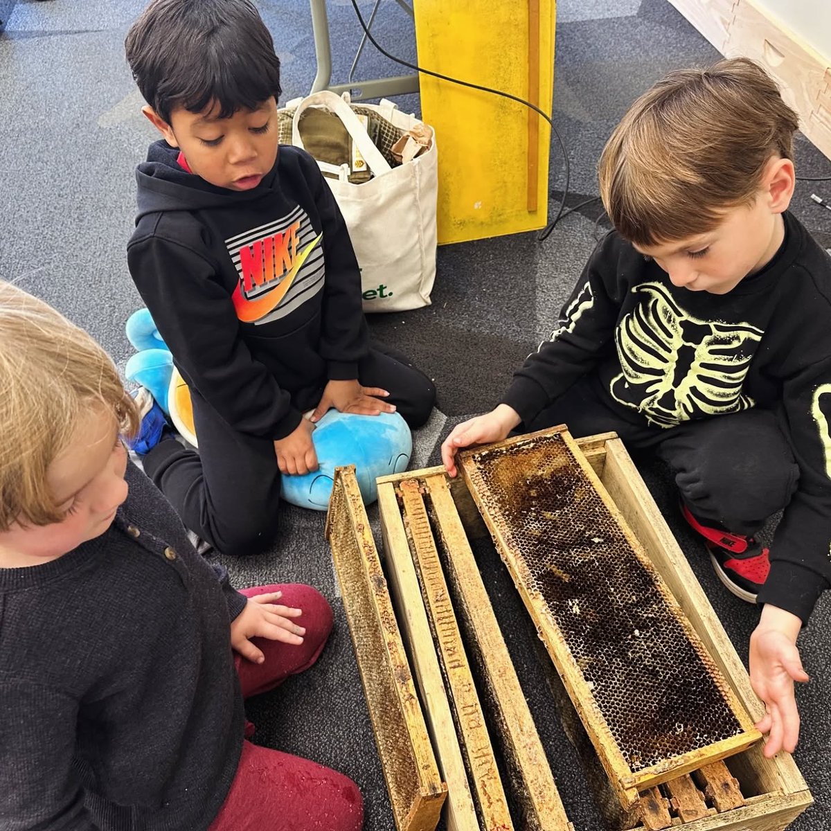 FoxhoundBeeCo's tweet image. Hands-on learning experience 💯

More photos from the Red Mountain Community School visit last week, showing some of the activities we do in our interactive bee class.

Learn more: bit.ly/49Lm4r0 

#foxhoundbeeco #beekeeping #beekeepingclass #beekeepingeducatiom #bees