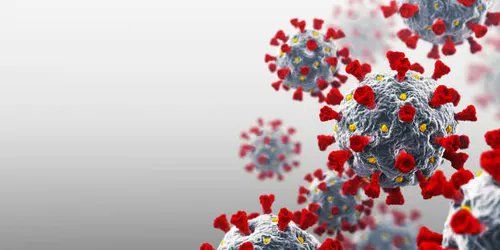 so where are the new covid variants this winter? hmmmm