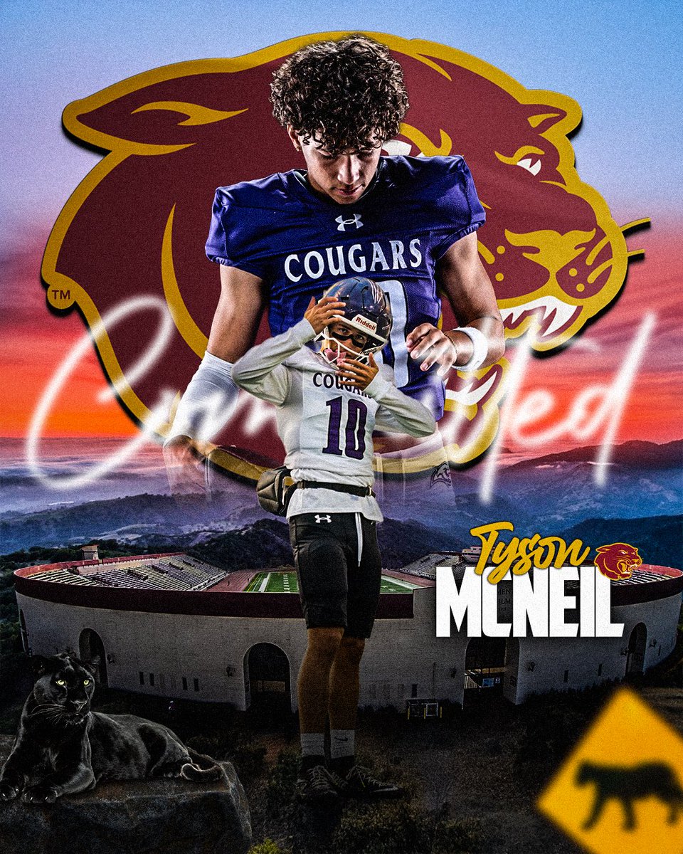 Tyson Mcneil tweet media