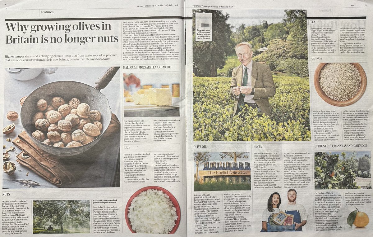 Tregothnan tweet media