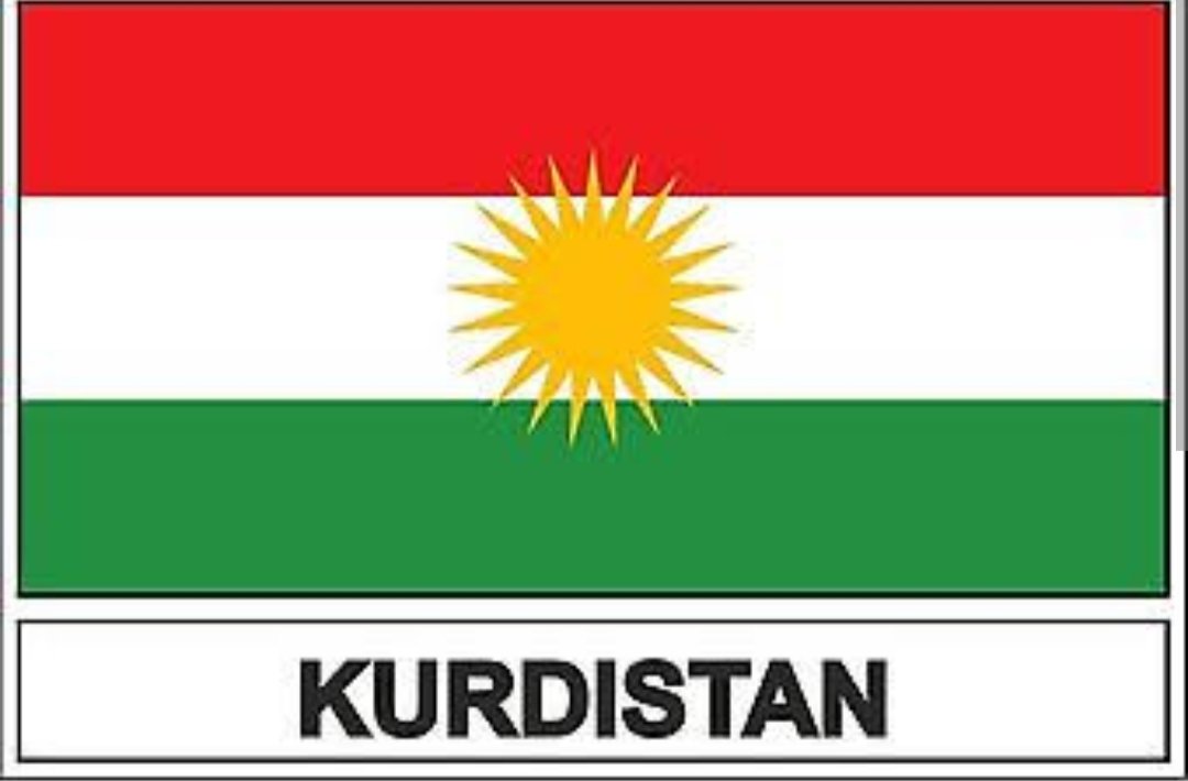 Nekesek_'s tweet photo. Kurdek bedelî dinyayê ye ✌️
Gele Kurd pêwîste li benda "Rojava" bisekine û vê berxwedanê xwirt bike . 
Bijî berxwedana ROJAVA https://t.co/Y72KY1hPfY