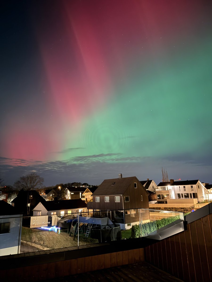 Melike Sengul tweet media