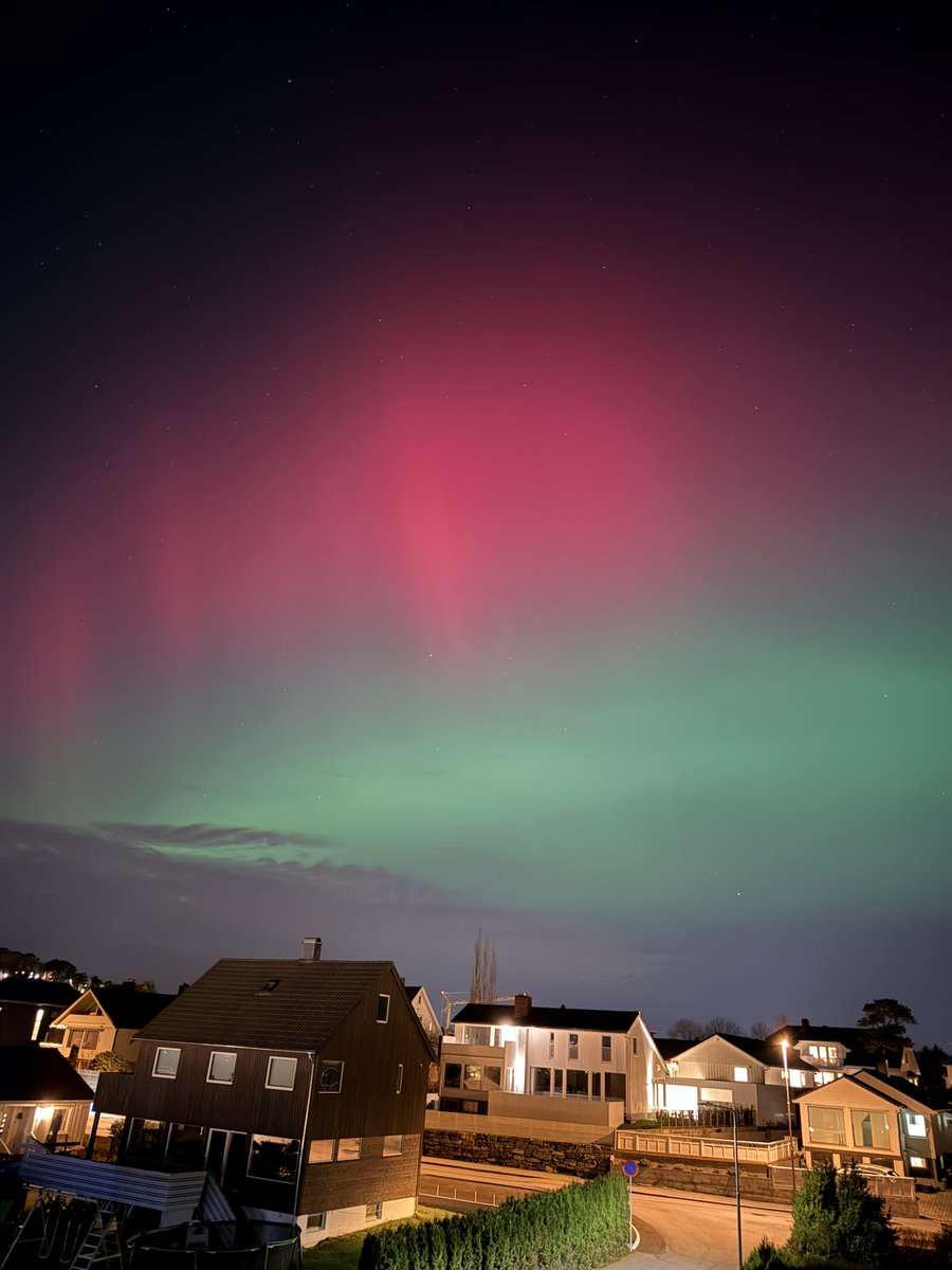 Melike Sengul tweet media