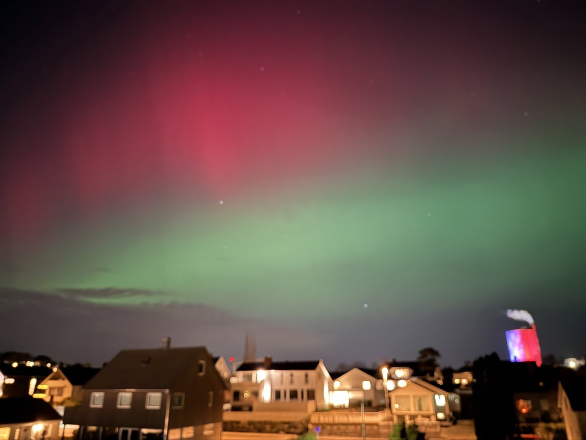 Melike Sengul tweet media