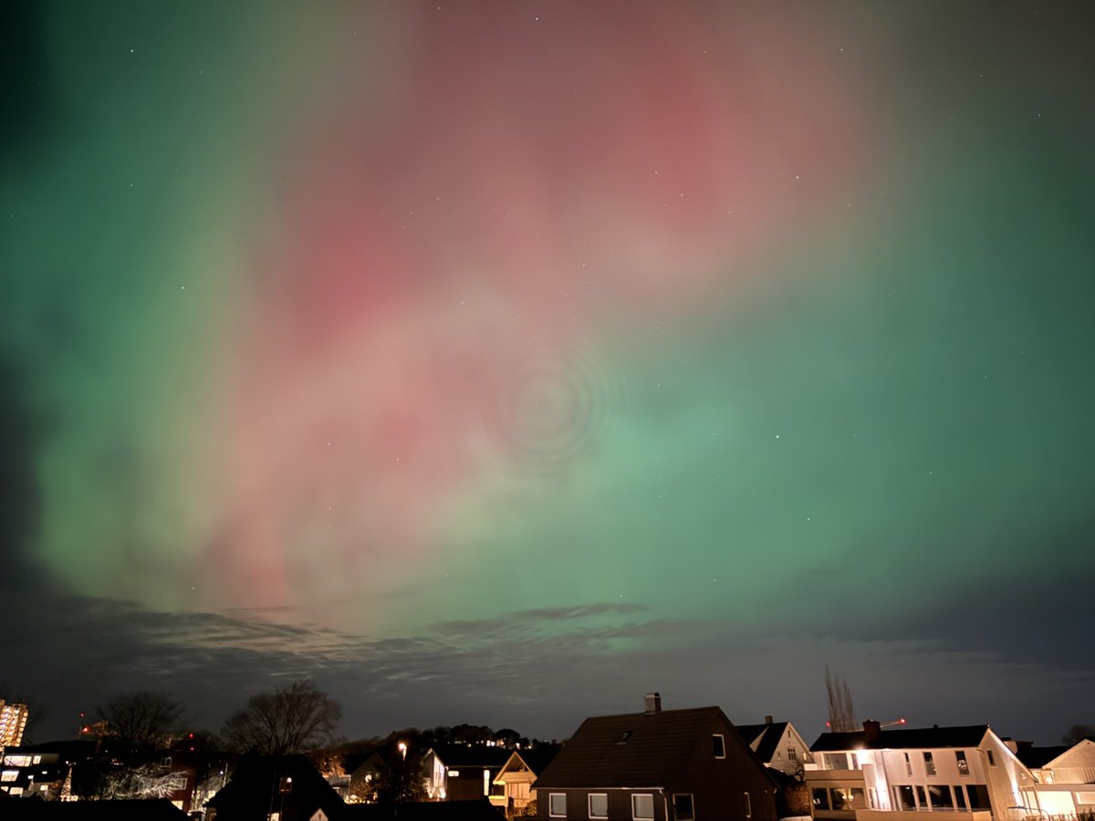 Melike Sengul tweet media