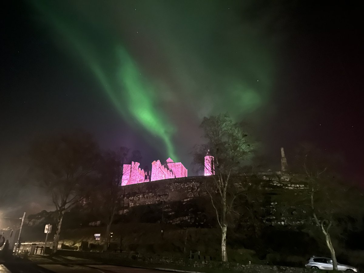 Ronan Proctor tweet media