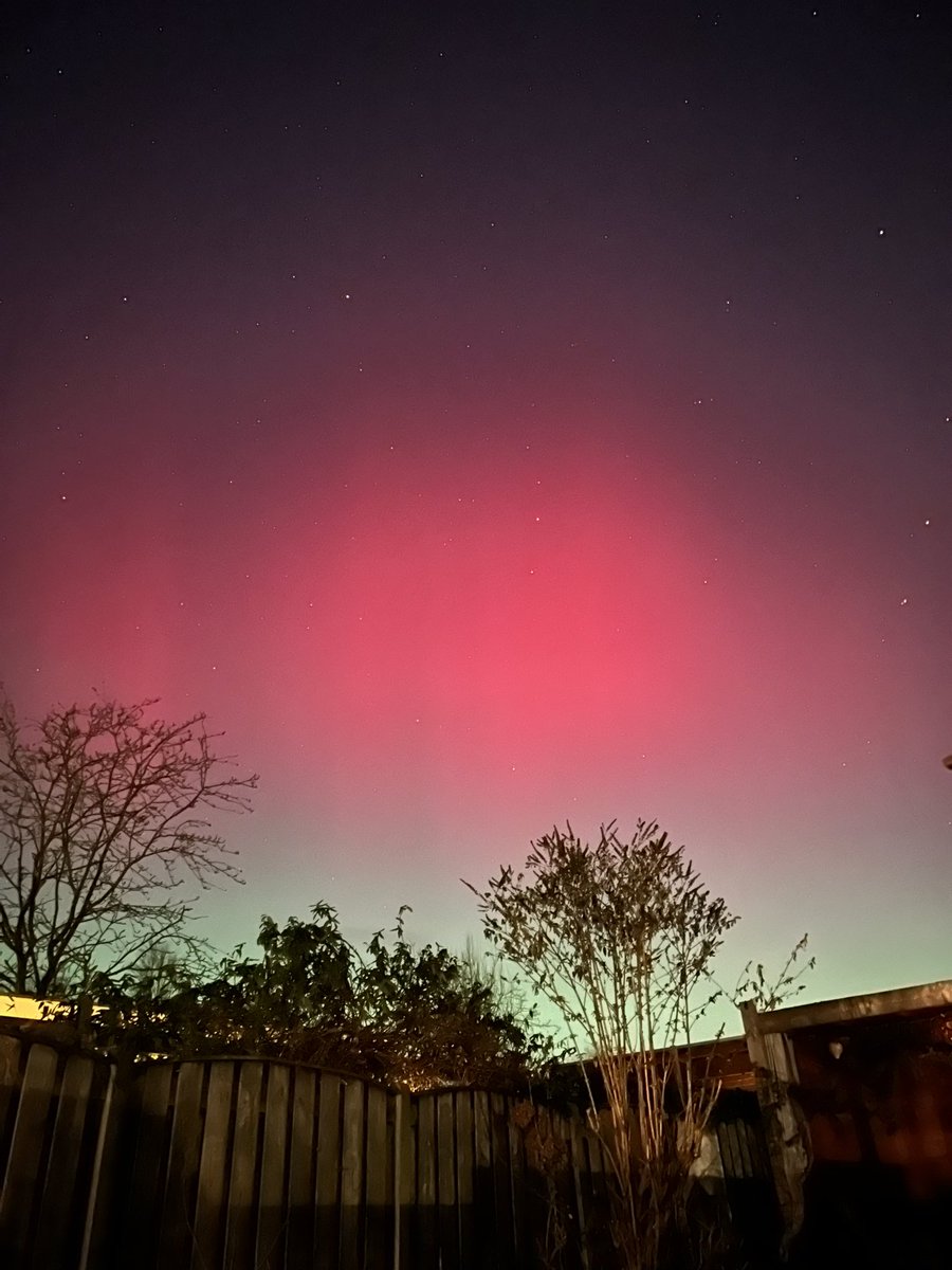 Leonore Nieuwmeijer tweet media