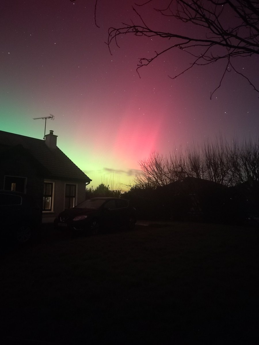 Sandra Fitz tweet media