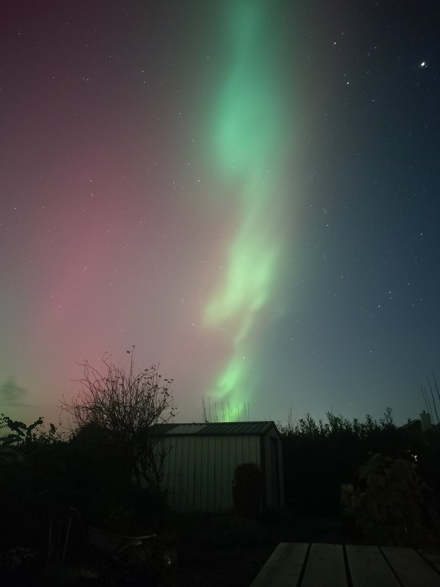 Sandra Fitz tweet media