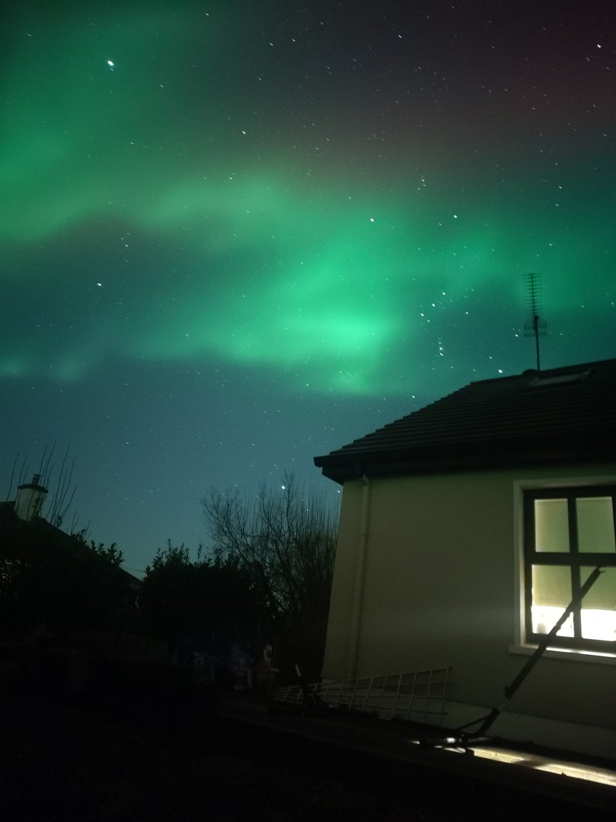 Sandra Fitz tweet media