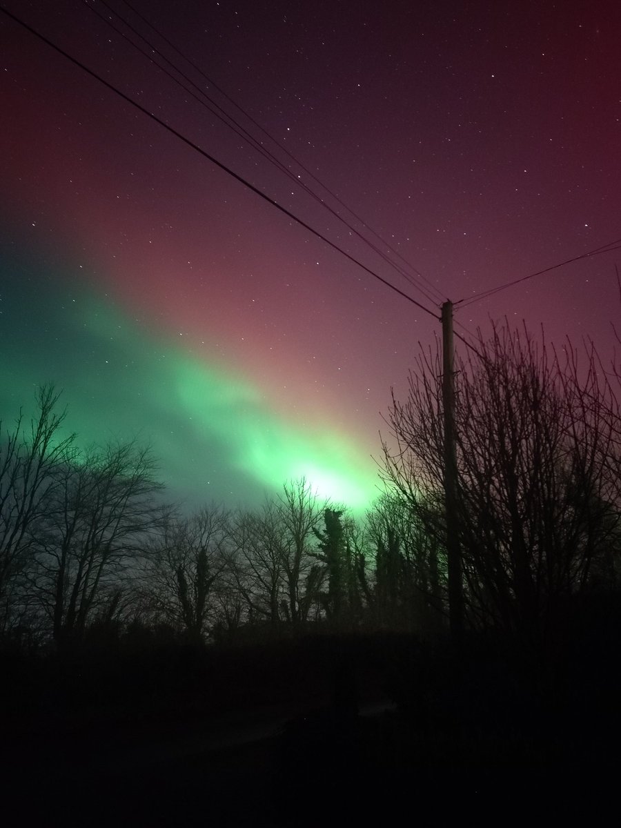 Sandra Fitz tweet media