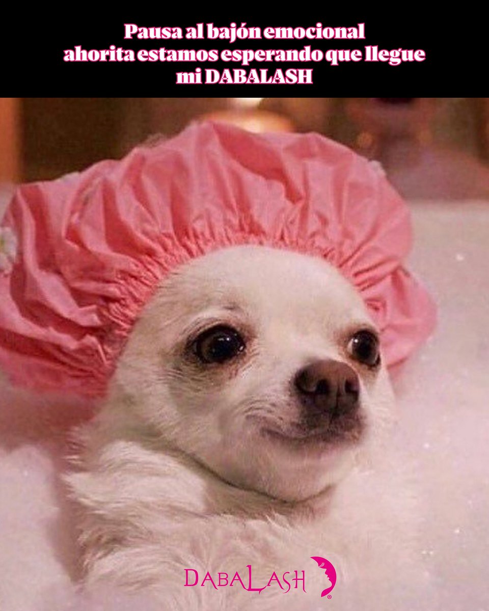 dabalash's tweet image. Se cancela el #BlueMonday Padre Santo, yo estoy esperando mi #Dabalash 📦🚚

Pausa tu bajón emocional y pide tu #ComboDabalash en Dabalash.com o mándanos un mensaje para ayudarte con tu compra 🛍️🛒

#Lashes #FelizLunes