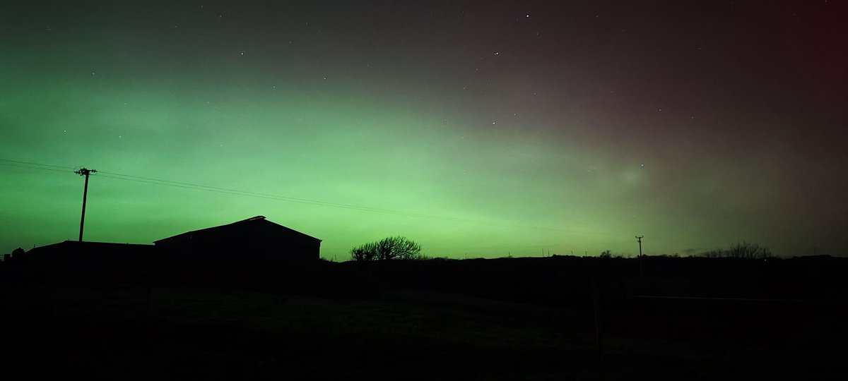 patrick o dwyer tweet media