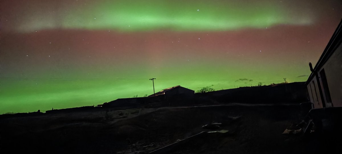 patrick o dwyer tweet media