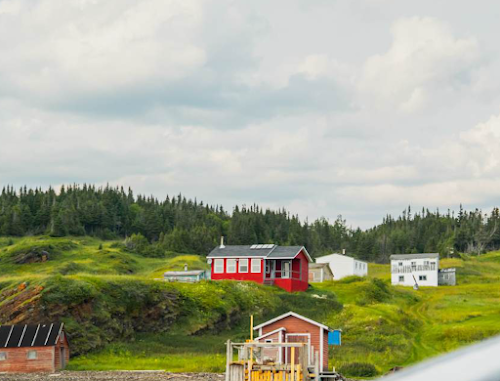 ConnieMotz's tweet photo. The Ultimate Private Escape: Digital Detox, a Private Chef, &amp; a Whole Town to Yourself!!

https://t.co/6KlQfKh2ov

#travel #TravelTuesday #digitaldetox #adventure #escape #privatechef #solitude #canada #newfoundland Moratorium Tours &amp; Retreats https://t.co/vWzb7GBOqq