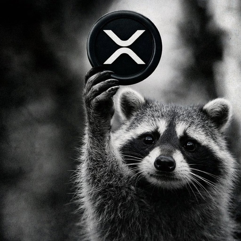 The Great Crypto Mix-Up: Everyone Screwed Up on XRP 🤔