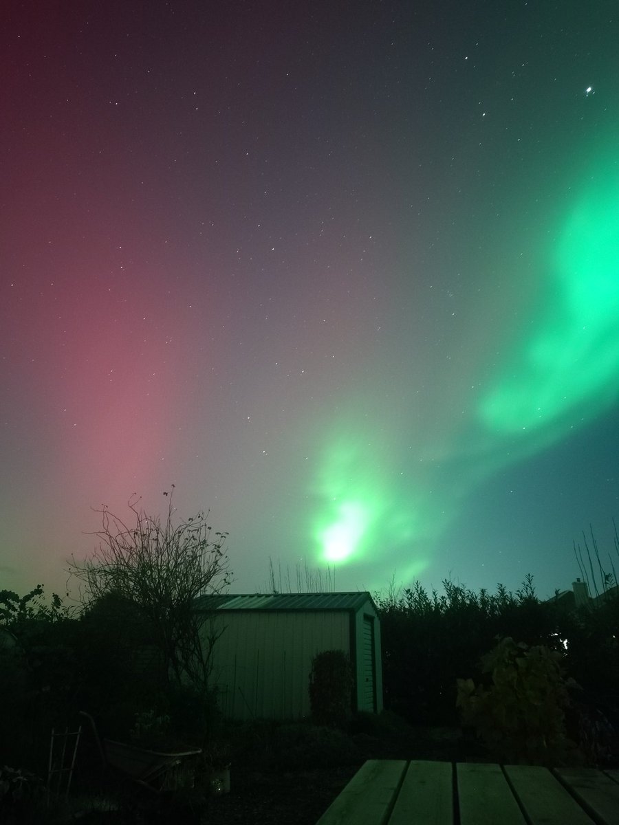 Sandra Fitz tweet media