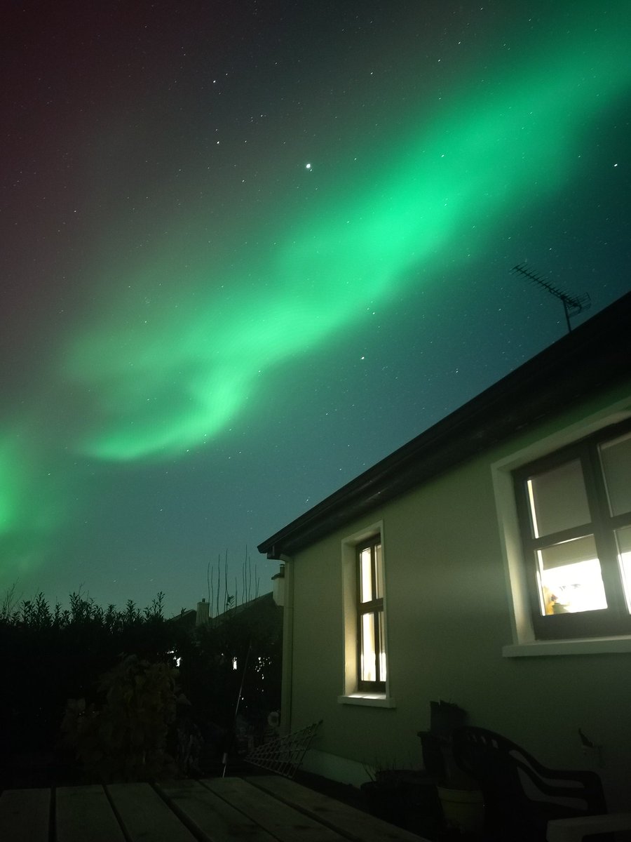 Sandra Fitz tweet media