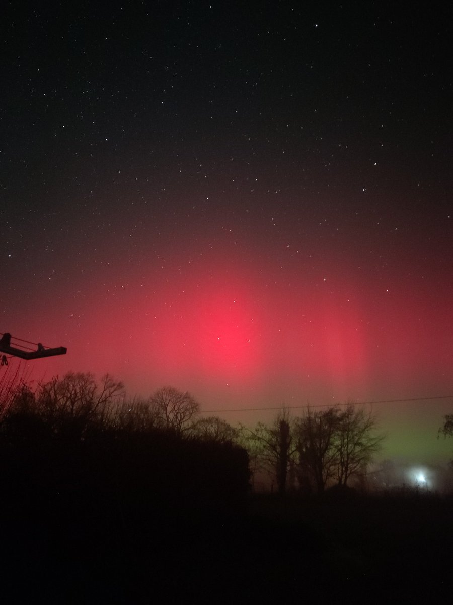 Sandra Fitz tweet media