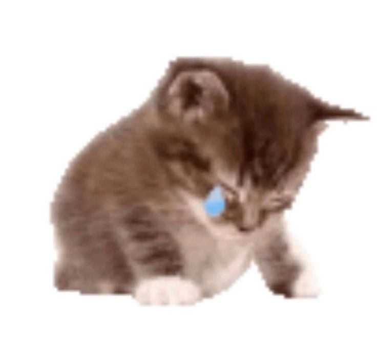 oko_lib's tweet image. 